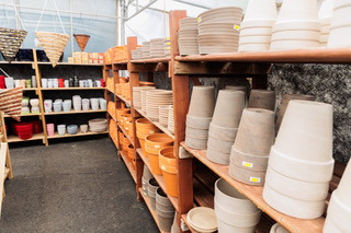 Image de pots de fleur sur des étagères.